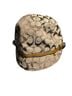 Coach Print Brown Baseball Cap Size S - photo 1