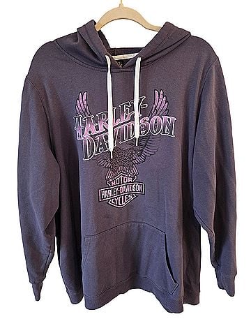 Harley Davidson Pullover Hoodie (view 1)
