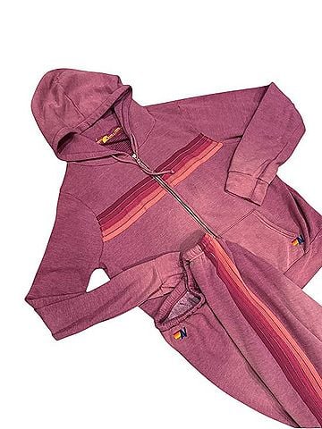 Aviator Nation 5 Stripe Zip Up Hoodie (view 2)