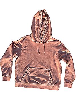 Carhartt Pullover Hoodie (view 1)