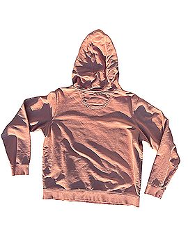 Carhartt Pullover Hoodie (view 2)
