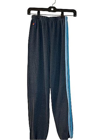 Aviator Nation Sweatpants (view 1)
