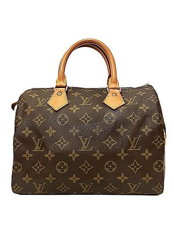 Louis Vuitton Louis Vuitton Speedy 25 Handbag, Monogram Canvas, M41528 (view 1)