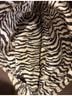 Vera Bradley 100% Microfiber Zebra Print Multi Color Brown Shoulder Bag One size - photo 8