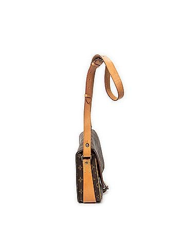 Louis Vuitton Cartouchiere MM (view 2)