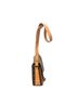 Louis Vuitton Brown Cartouchiere MM One size - photo 2