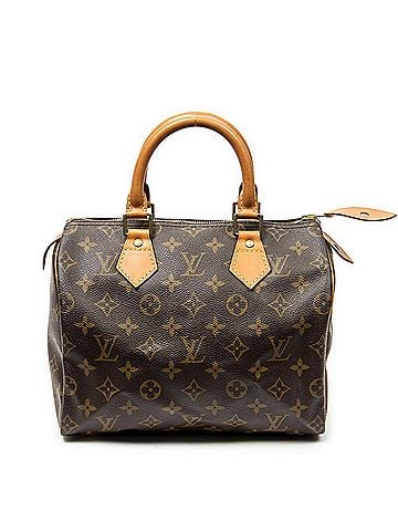 Louis Vuitton Speedy 25 (view 1)