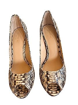 Coach snake hills Heels (view 1)