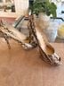 Coach 100% Leather Animal Print Multi Color Heels Size 8 - photo 3