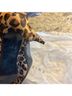 Zara Animal Print Brown Black Ankle Boots Size 9 - photo 3