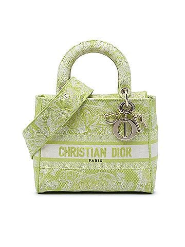 Dior Medium Embroidered Canvas Toile de Jouy Lady D Lite (view 1)