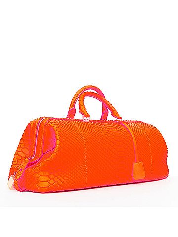 Céline Celine 2011 Orange Python Bag (view 1)