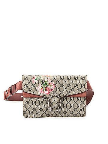 Gucci Dionysus Belt Bag (view 1)