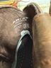 Ariat 100% Leather Aztec Or Tribal Print Brown Multi Color Boots Size 7 1/2 - photo 16