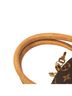Louis Vuitton 100% Coated Canvas Brown Monogram Ellipse PM One size - photo 7