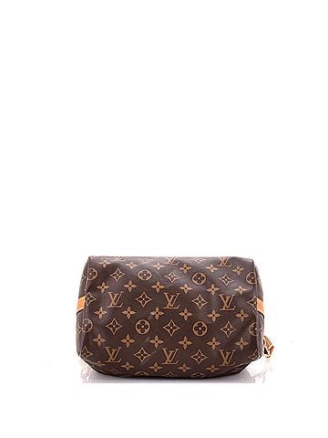 Louis Vuitton Speedy Bandouliere Bag Monogram Canvas 25 (view 2)