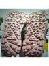 Hoka Solid Tan Sneakers Size 7 - photo 8