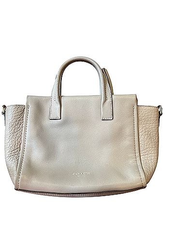 Coach Bleeker Mini Riley Satchel Leather Satchel (view 1)