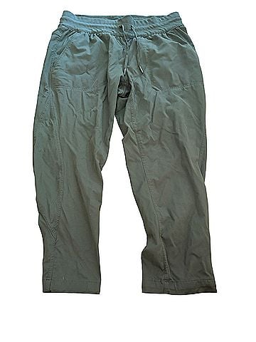 The North Face Casual Pants (view 1)