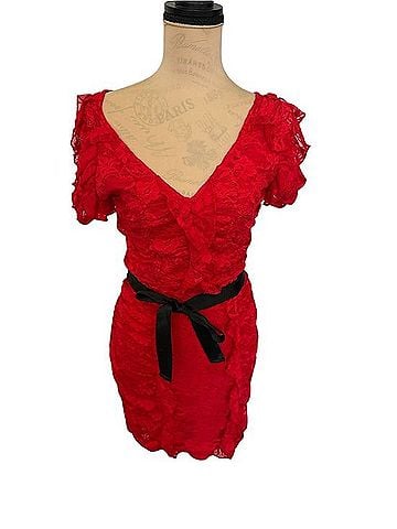 Bebe Eliana Ruffle Lace Dress Cocktail Dress (view 2)