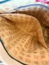 Harveys Backpack - Harveys Backpack One size - photo 8