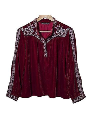 Zara Embroidered Velvet Long Sleeve Blouse (view 1)