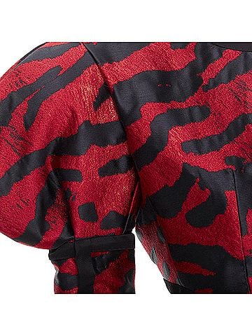 Dolce & Gabbana Dolce Gabbana Zebra Puff Sleeve Jacket (view 2)
