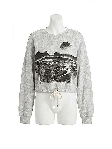 Chaser Ski Life Long Sleeve Crop Sweatshirt in Heather Grey (view 1)