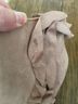 Fergalicious Pink Boots Size 9 - photo 7