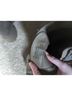 Mia Gray Ankle Boots Size 7 - photo 6
