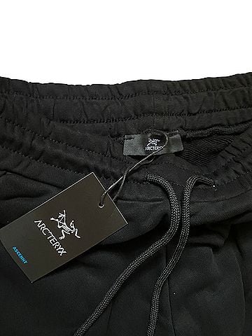 Arc'teryx Athletic Shorts (view 2)