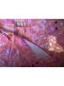 Kate Hill 100% Cotton Floral Pink Yellow White Skort Size 10 - photo 4