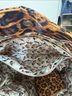 Big Buddha Leopard Print Black Brown Tote One size - photo 3