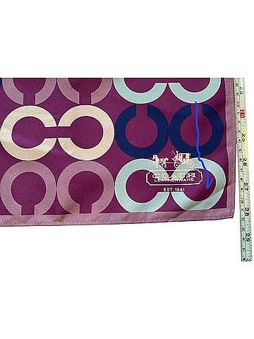 Coach Coach x Miss Scarf (view 2)