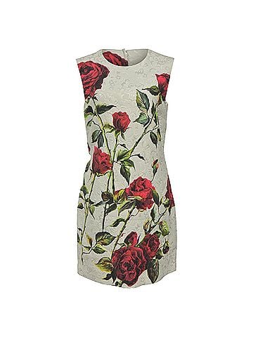 Dolce & Gabbana Dolce &amp; Gabbana Mini Rose Print Shift Dress in White Cotton (view 1)