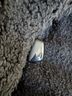 John Caruana 75% Wool 25% Nylon 100% Acetate Black Coat Size 14 - photo 8