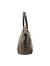 Louis Vuitton Brown Saleya PM One size - photo 4