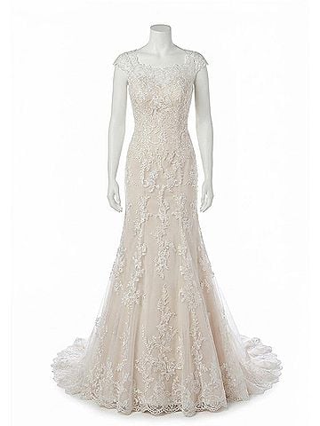 MoriLee by Madeline Gardner Alencon Lace Applique Gown in Ivory (view 1)