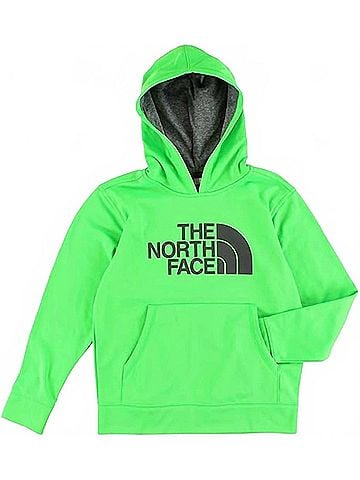 The North Face Boy's Logo Surgent Pullover Hoodie in Krypton Green (view 1)
