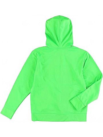 The North Face Boy's Logo Surgent Pullover Hoodie in Krypton Green (view 2)