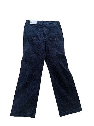 Ann Taylor LOFT Blue Corduroy Pants Wide Wale Cords (view 2)