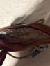 Baby Phat Blue Tan Tote One size - photo 3