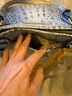 Brahmin Blue Leather Shoulder Bag One size - photo 7