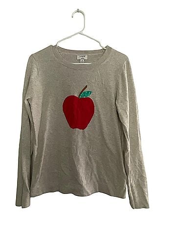 J.Crew teddie Pullover Sweater (view 1)
