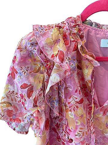 Greylin Short Sleeve Blouse (view 2)