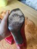 Stuart Weitzman Red Heels Size 7 - photo 3