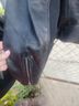 Michael Kors 100% Leather 100% Cotton 100% Polyester 2% Spandex Black Leather Jacket Size XL - photo 7