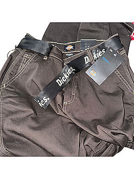 Dickies Casual Pants (view 2)