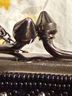 Moyna Black Leather Clutch One size - photo 9
