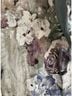 Elisa Cavaletti Floral Multi Color Jeans Size 30 - photo 14